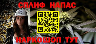 МДПВ Будённовск